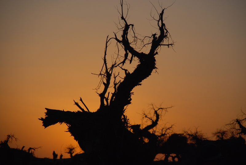dsc_0912.jpg