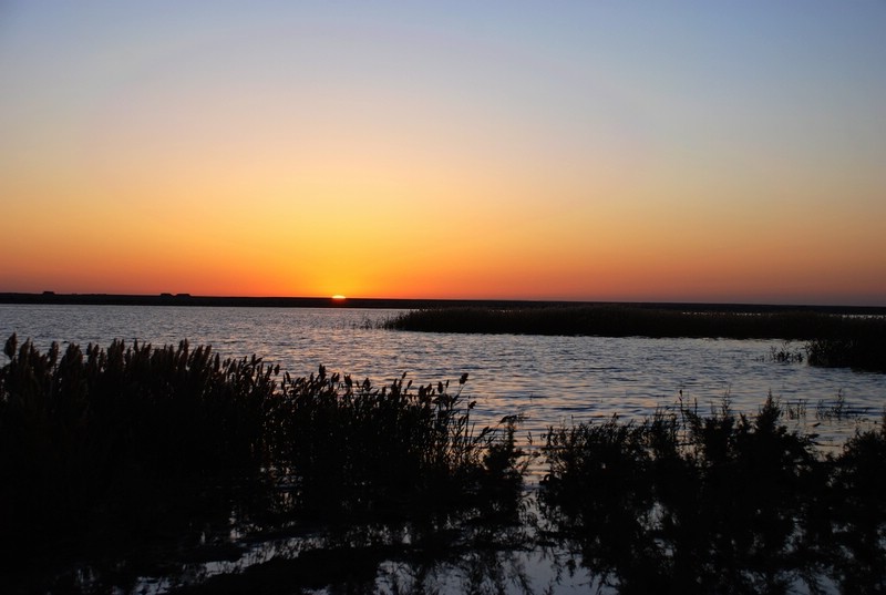 dsc_0944.jpg