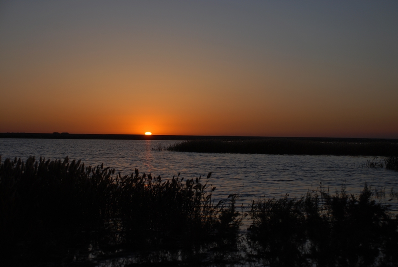 dsc_0948.jpg