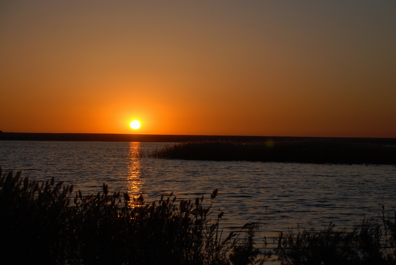dsc_0961.jpg