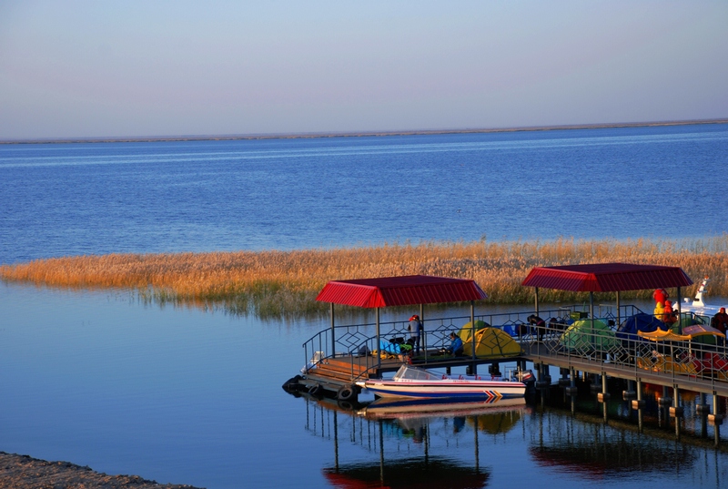 dsc_1001.jpg
