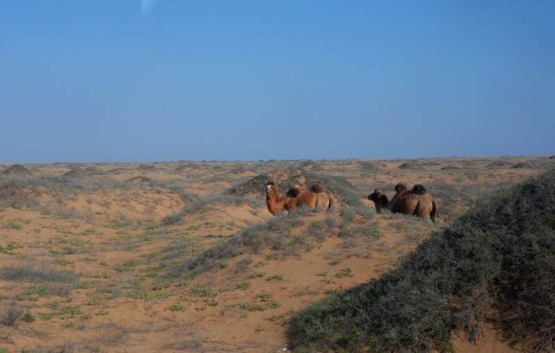 dsc_3009.jpg