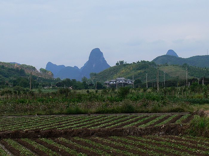 p1170099.jpg