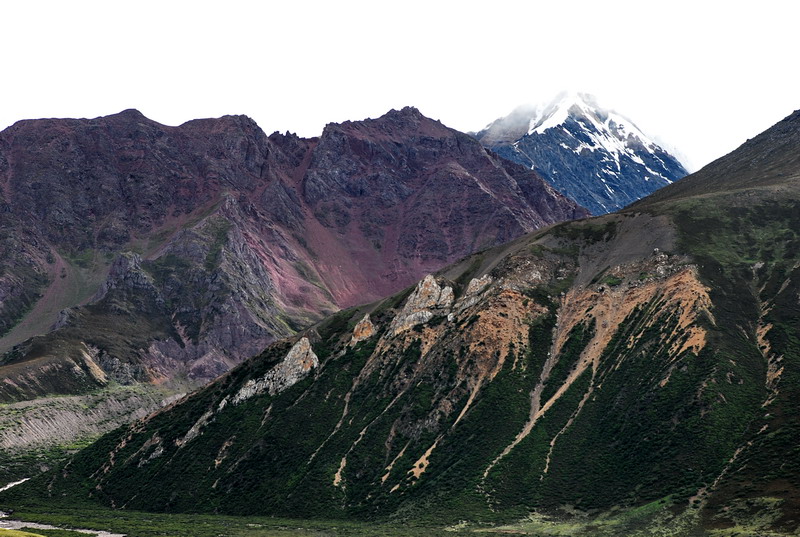dsc_0310.jpg