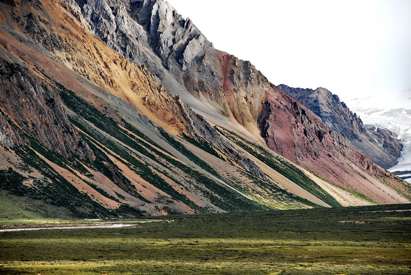 dsc_0330.jpg