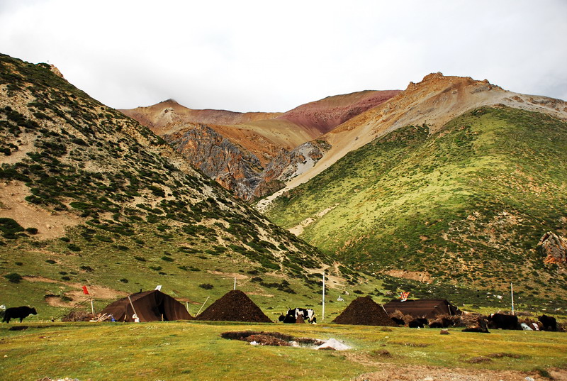 dsc_0333.jpg