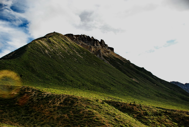 dsc_0431.jpg