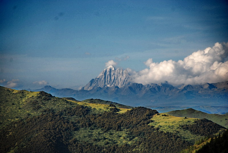 dsc_0647.jpg