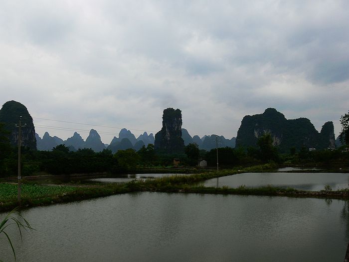p1170132.jpg