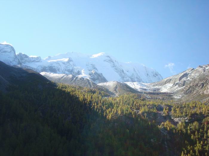 dsc08874.jpg