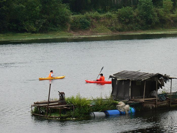 p1170185.jpg