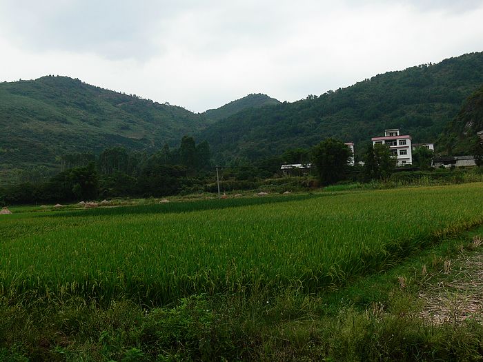 p1170199.jpg
