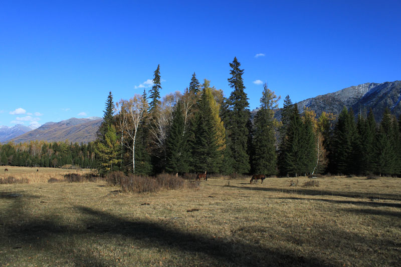 2011.9.22 109.jpg