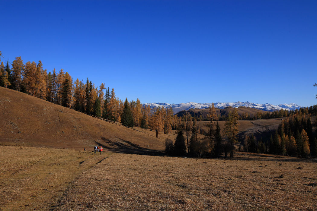 img_5122.jpg