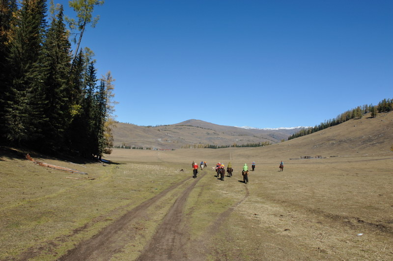 ½1 (720).jpg