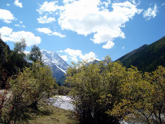 dsc08458.jpg