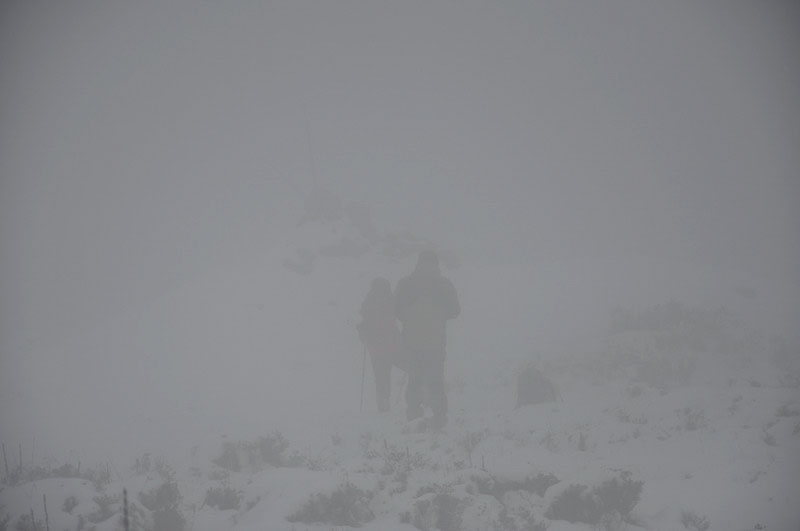 _dsc0174׼ѹ.jpg