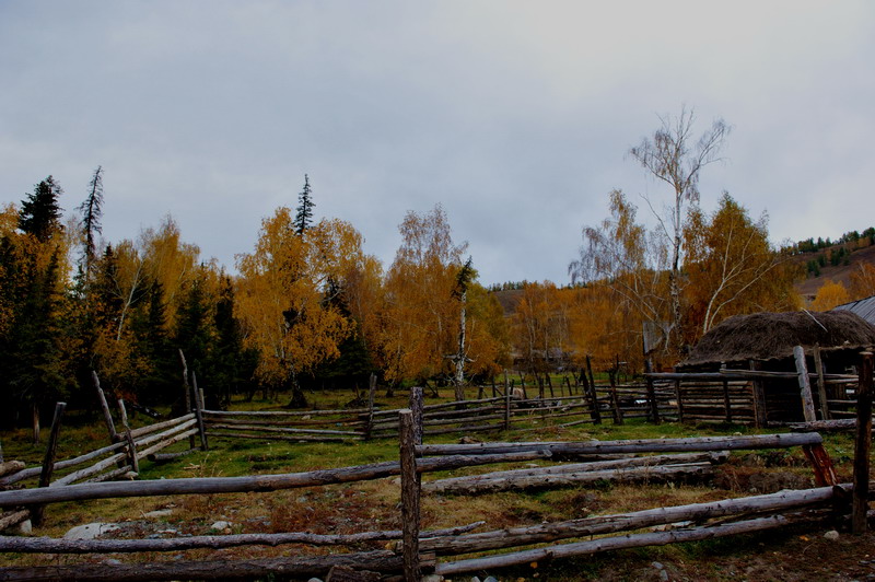 ½1 (93)1.jpg