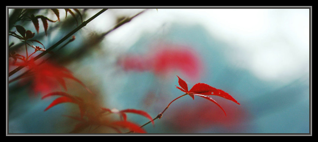 dsc03048_.jpg