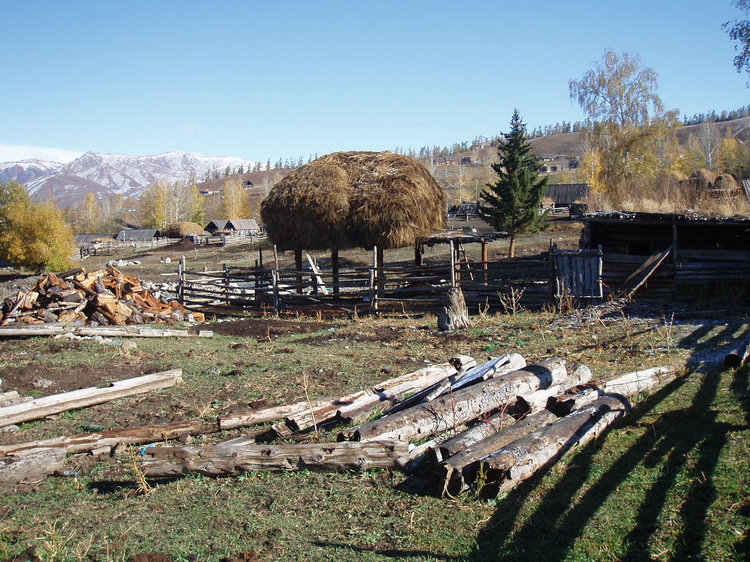 p1016493.jpg