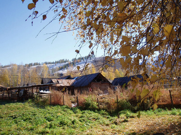 p1016525.jpg