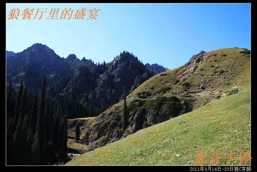 img_8446.jpg