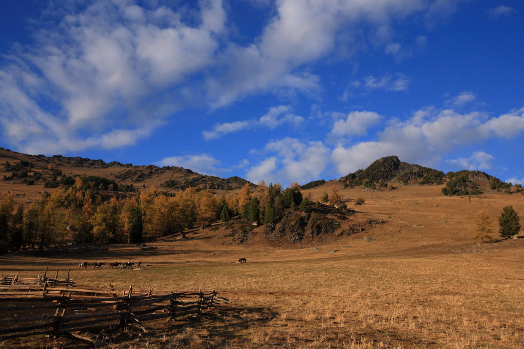 img_5245.jpg