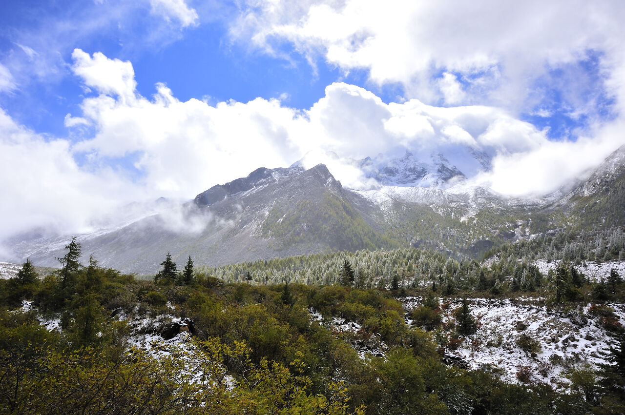 _dsc8848.jpg