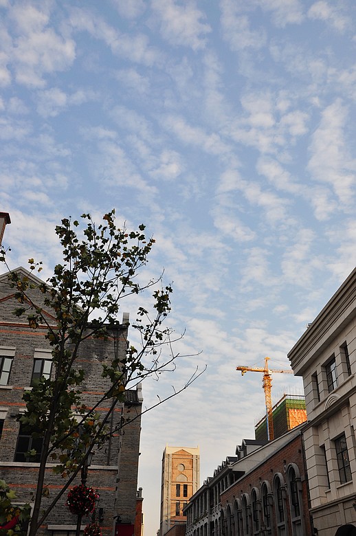 dsc_0480.jpg