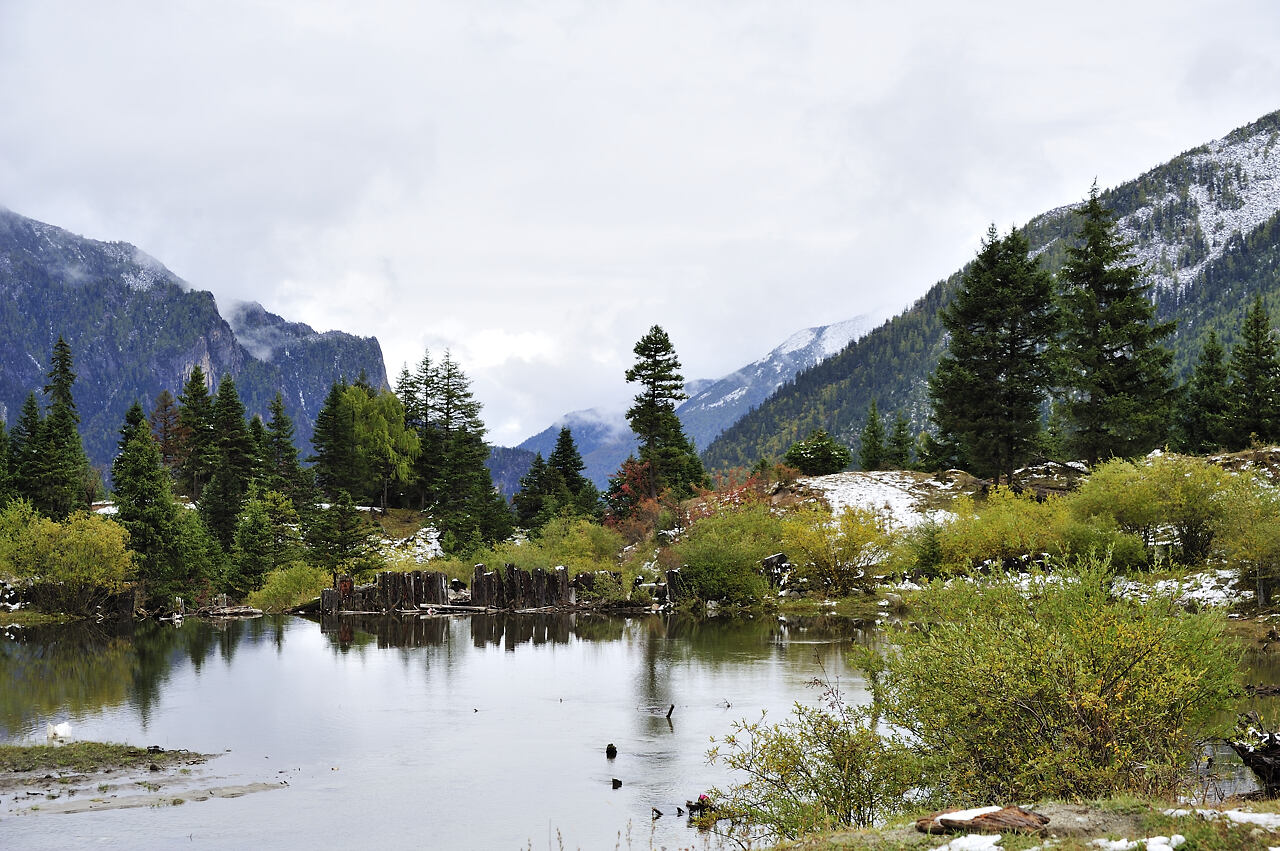 _dsc8978.jpg