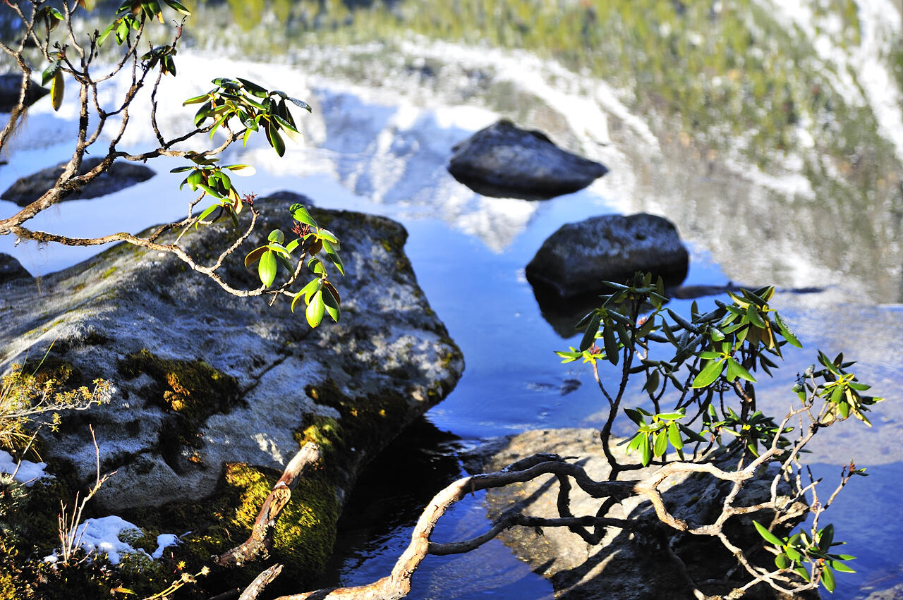 _dsc9075.jpg