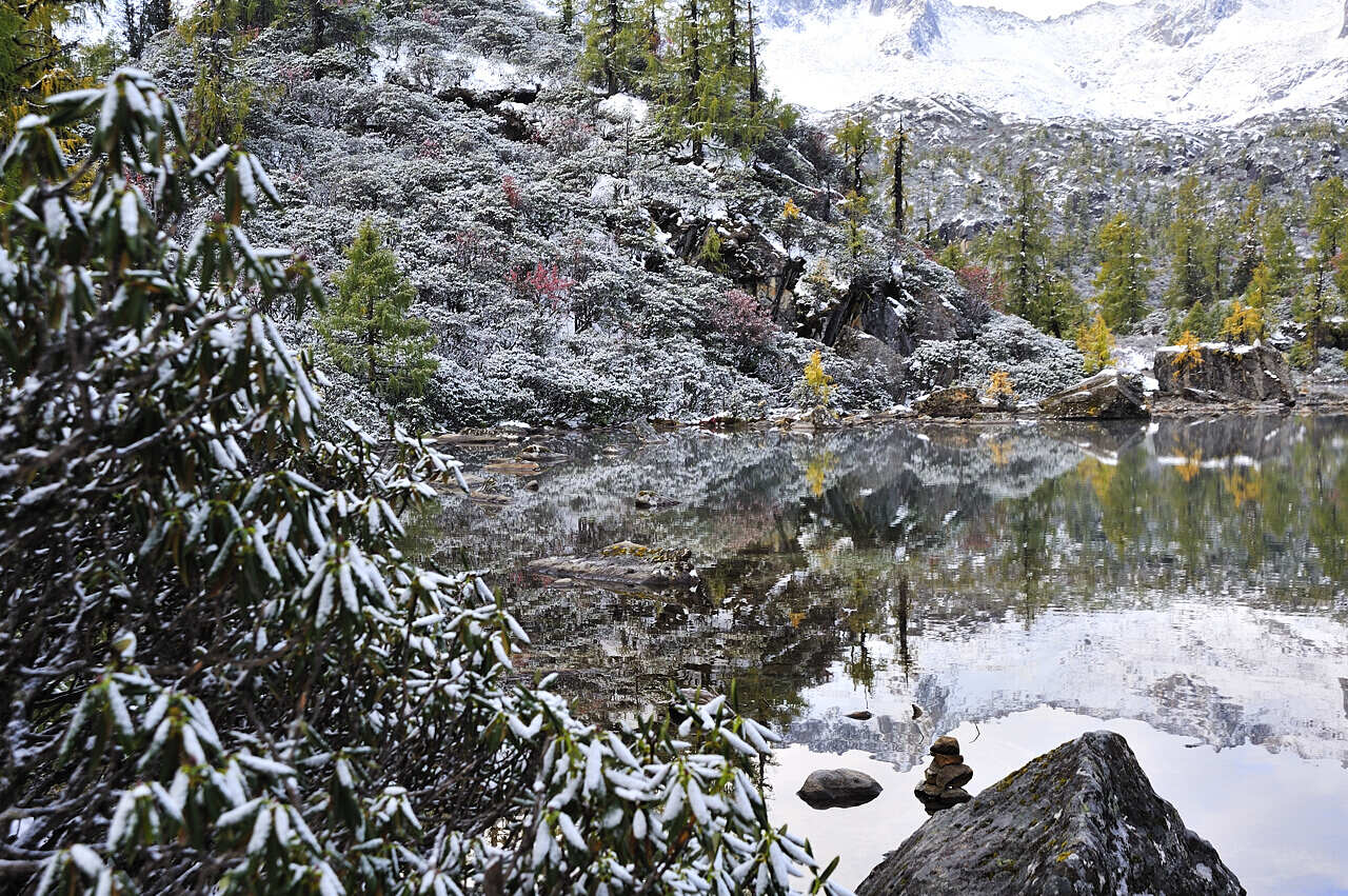 _dsc9036.jpg
