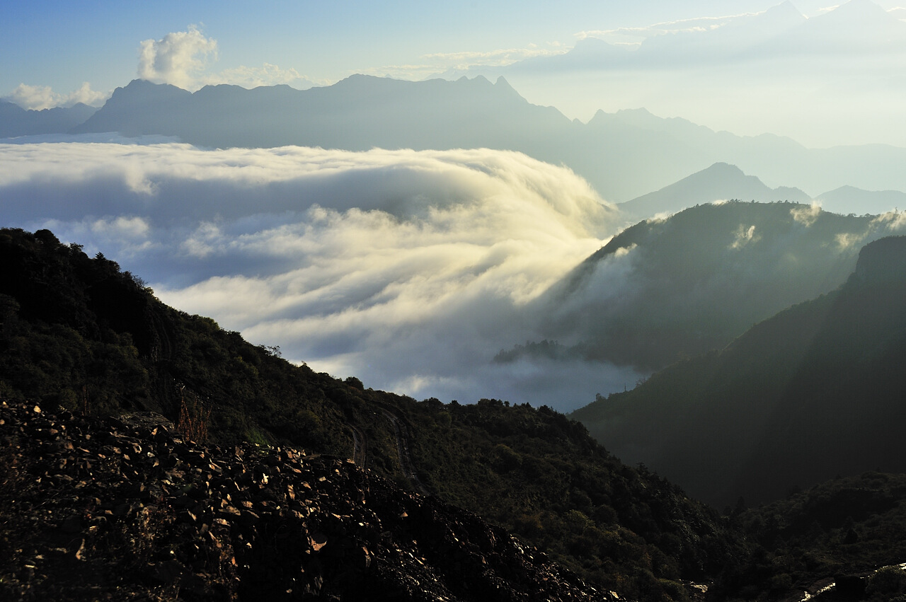 _dsc9201.jpg
