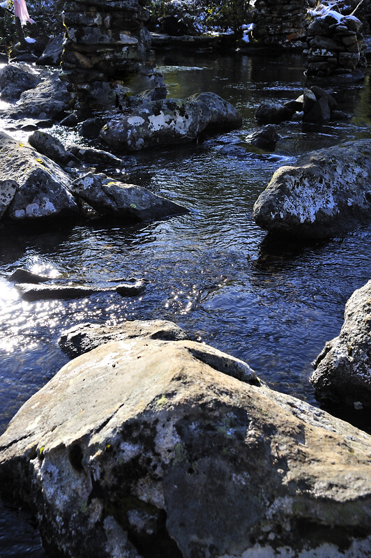 _dsc9097.jpg