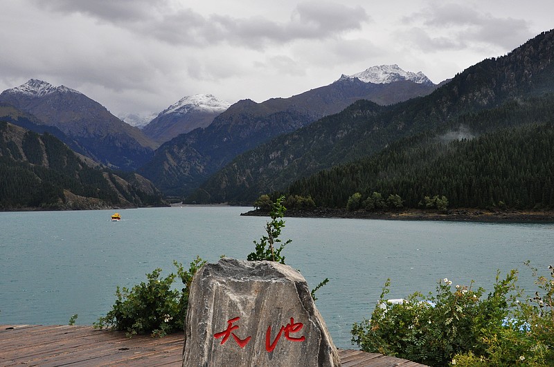 dsc_0204.jpg