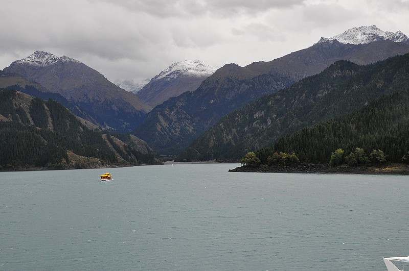 dsc_0205.jpg