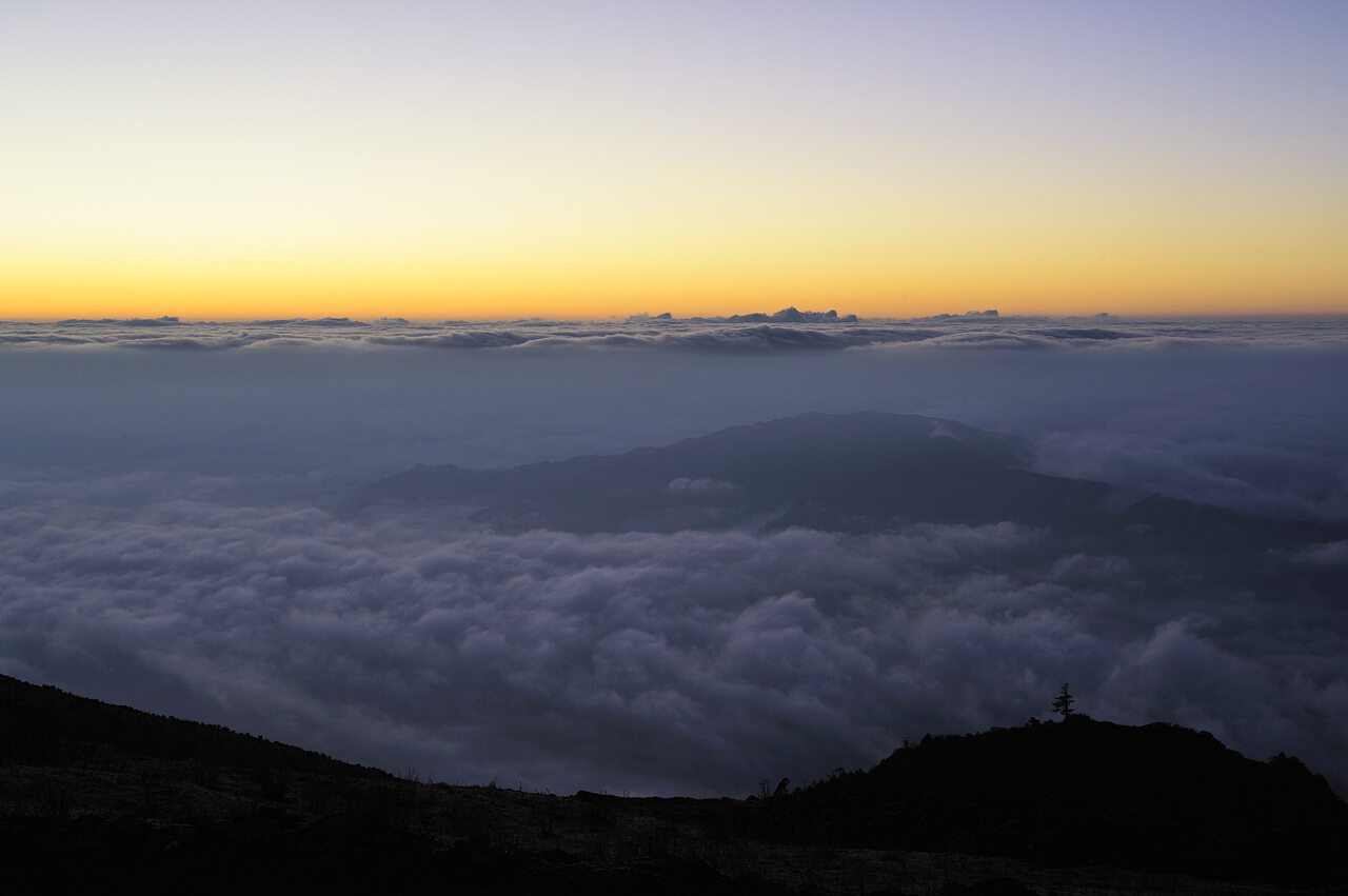 _dsc9255.jpg