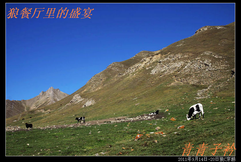 img_8514.jpg