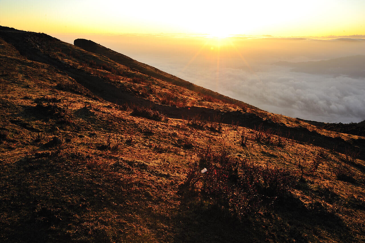 _dsc9275.jpg