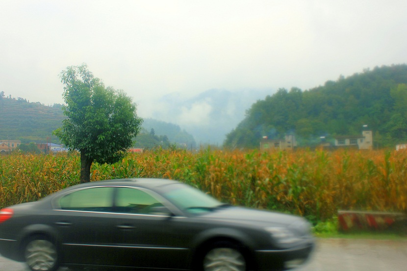 img_2764.jpg