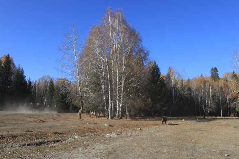 2011.9.22 316.jpg