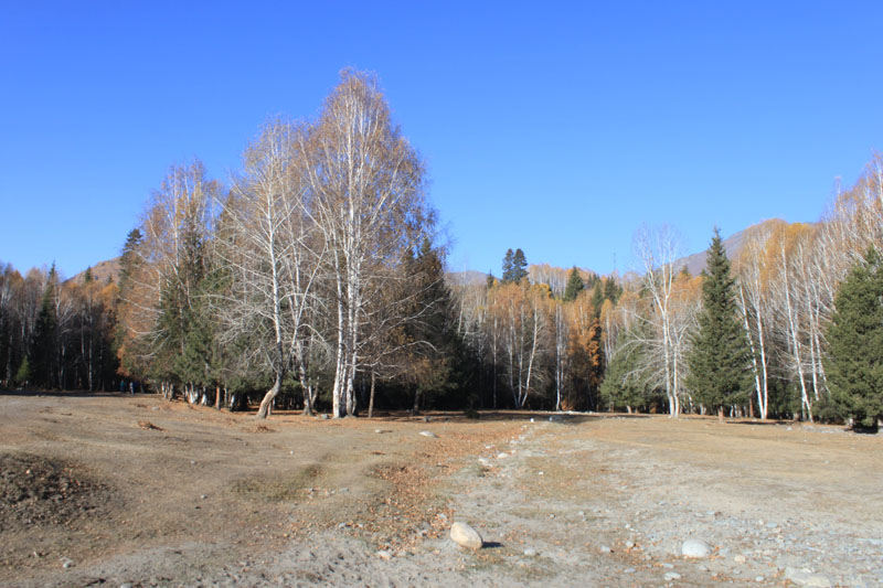 2011.9.22 305.jpg