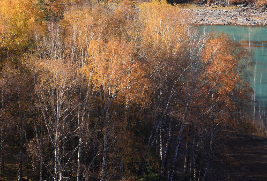 img_5559.jpg