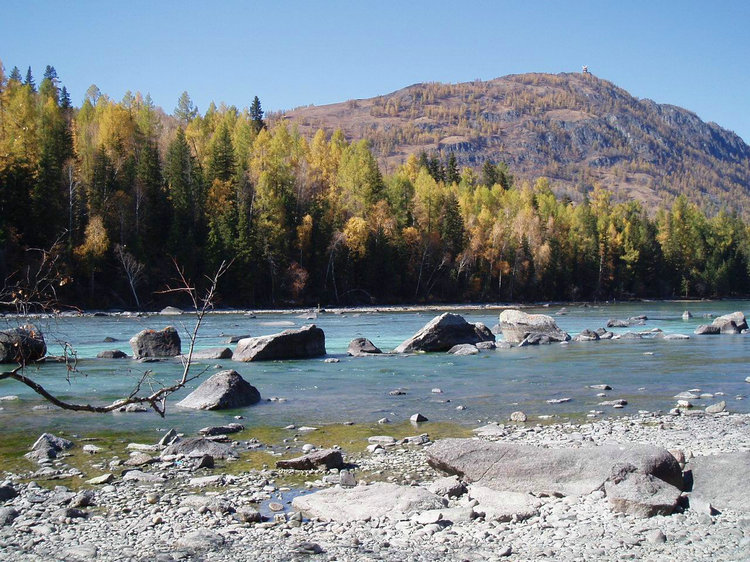 p1016907.jpg