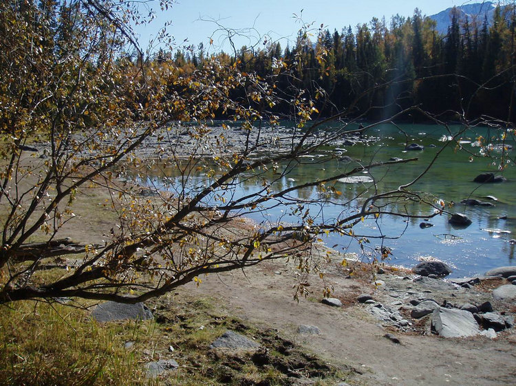 p1016950.jpg