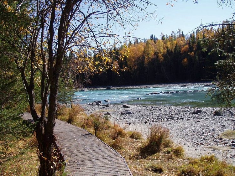 p1016962.jpg
