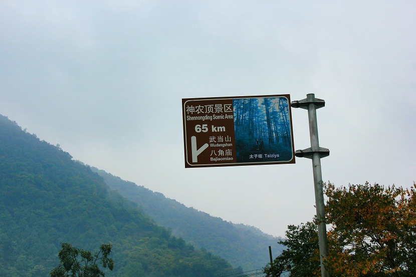 img_2838.jpg