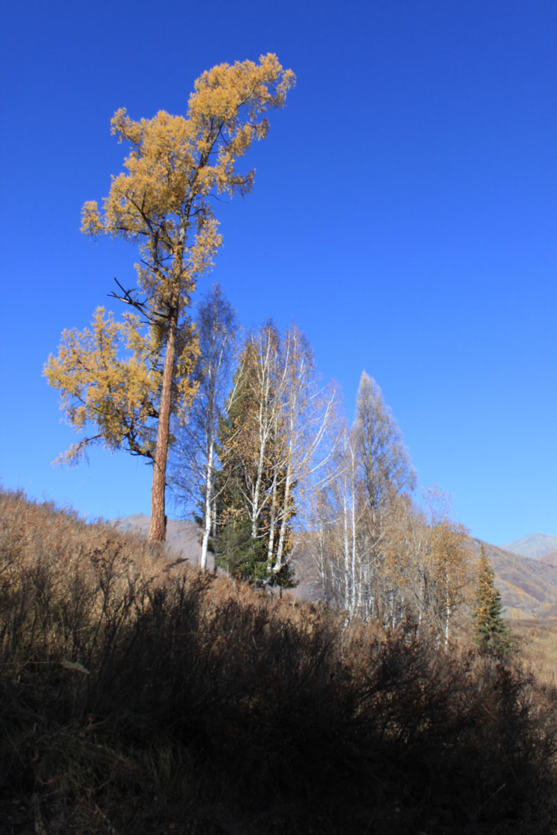 2011.9.22 336.jpg