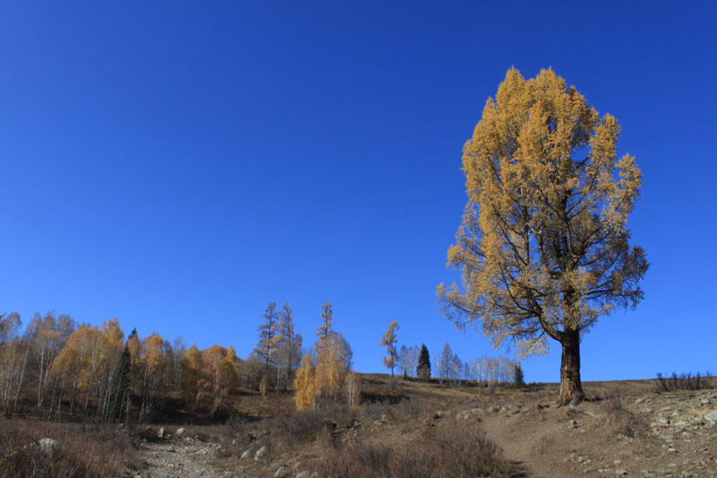 2011.9.22 335.jpg