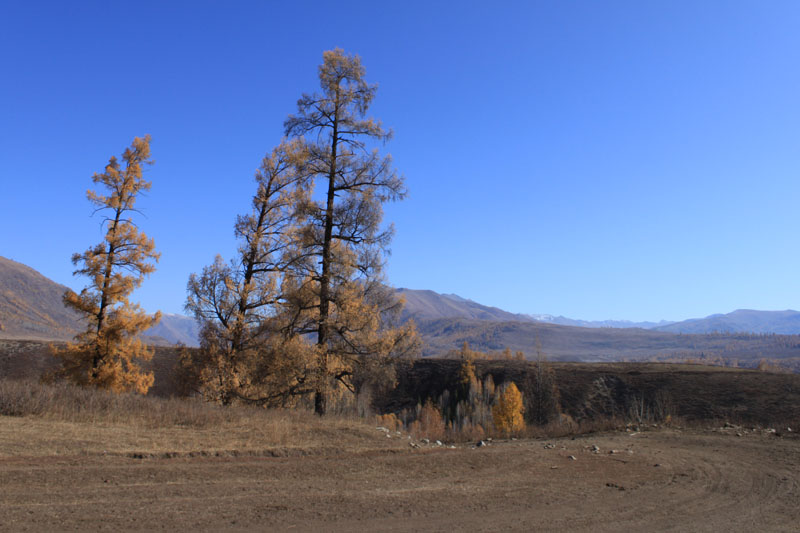 2011.9.22 338.jpg